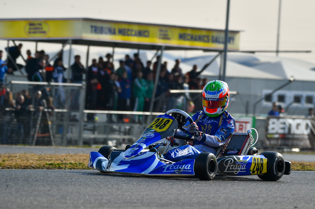 Stabilizer bars & Rear spoiler support – IPK NEW ZEALAND