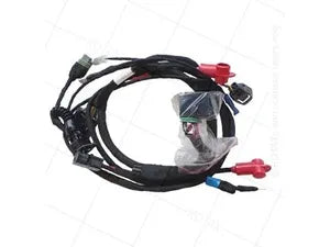 Wiring Harness 2020 Loom
